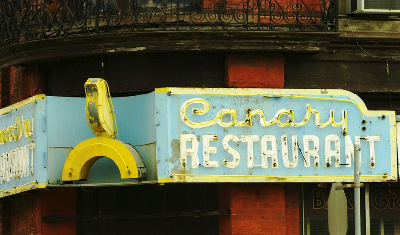 canary