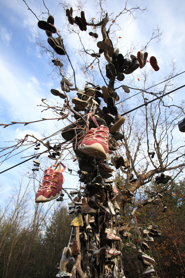 shoe tree, port bolster