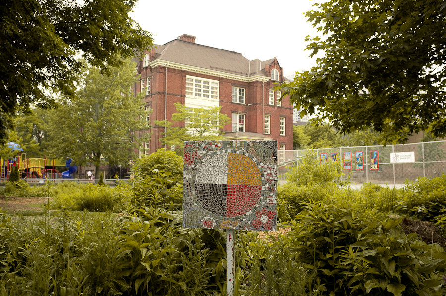 school garden, cabbagetown
