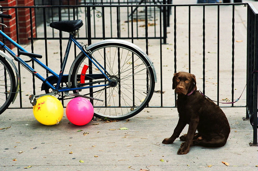 pappy and balloons