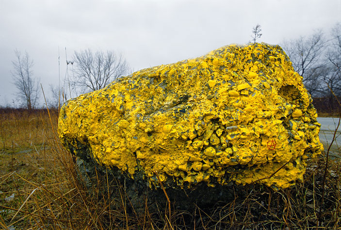 big yellow rock