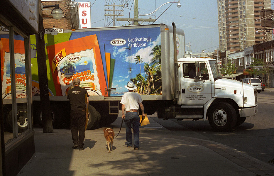 captivatingly caribbean