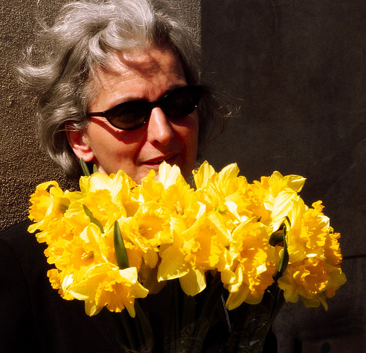 daffodils