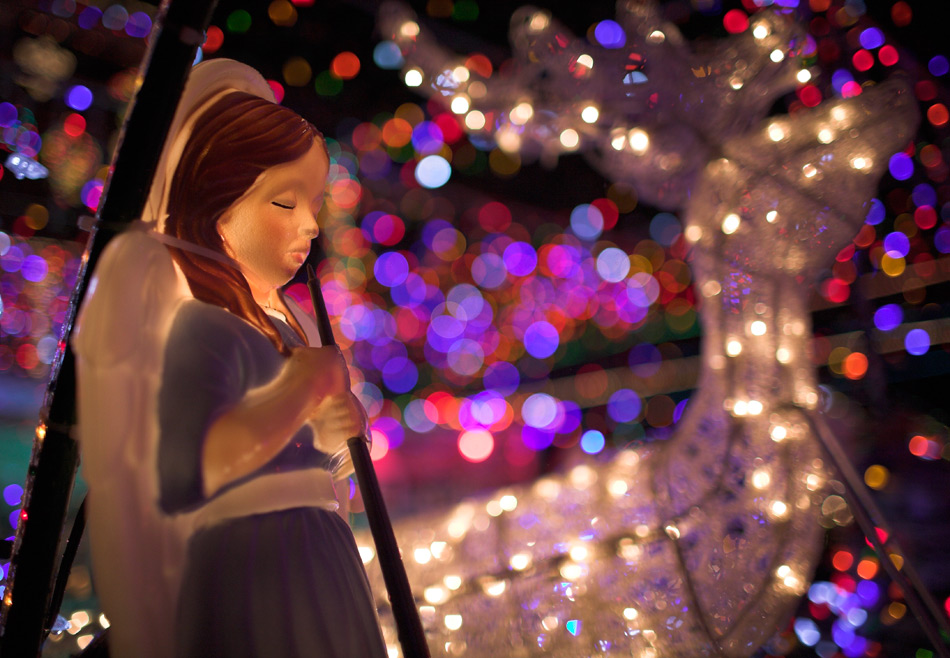 dezelia borges house 3