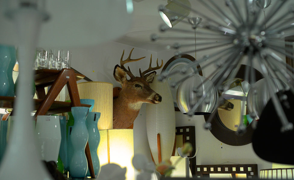 deer in the ceiling lights