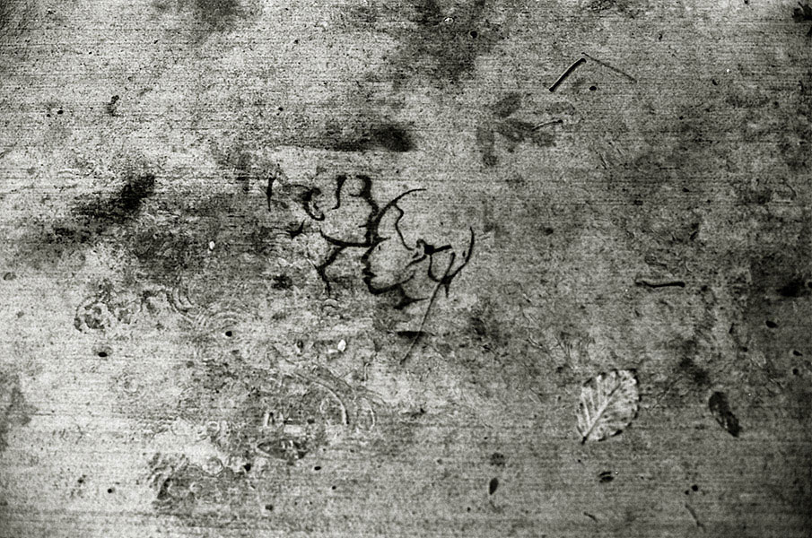 sidewalk, kiss, leaf (in rain)