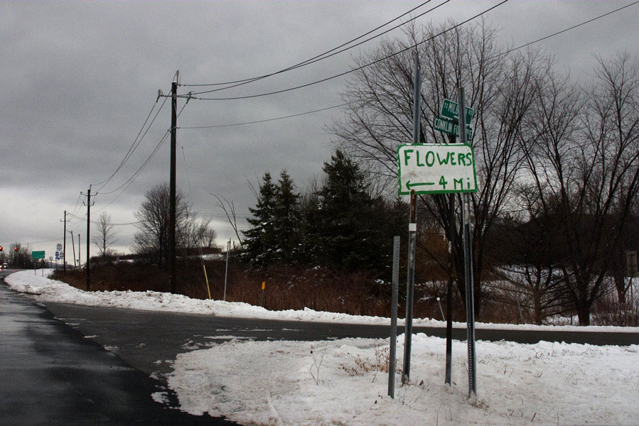 flowers 4 miles