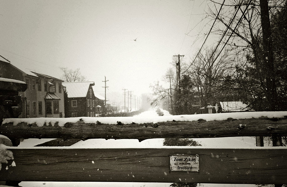 tom zikos 1949-1998 freebird