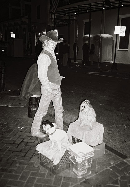 frozen person with dogs