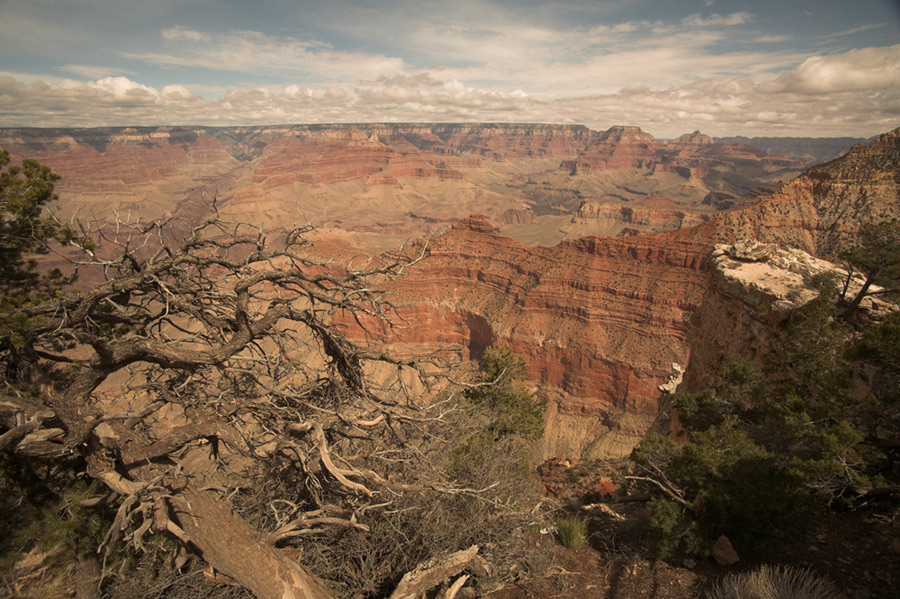 grand canyon