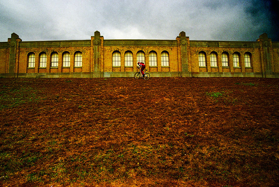 water plant with uphill cyclist