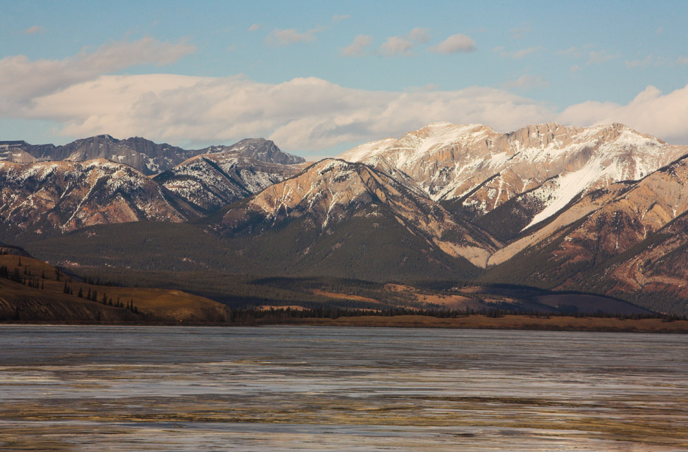 jasper