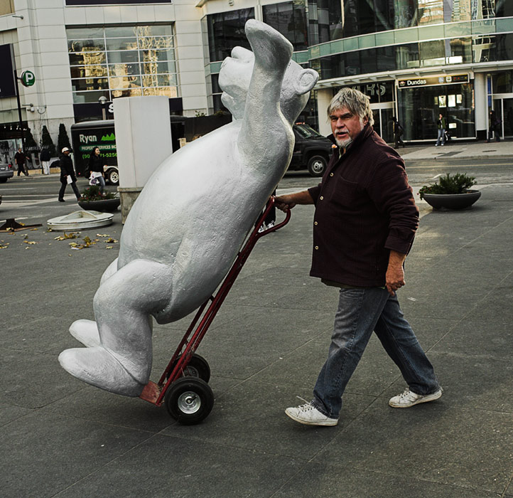 moving the bear