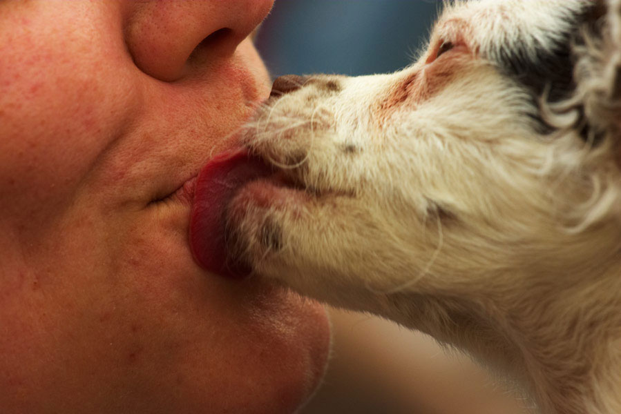 pooch smooch