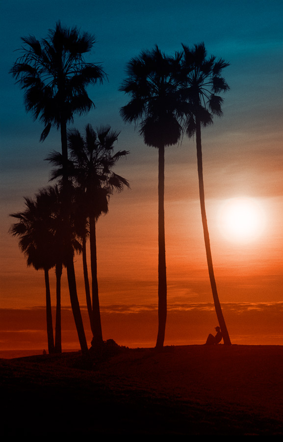 sunset, venice ca